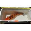 Image 2 : Koi Fish (Orange w/ Black Markings, Black & White Tail)