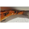 Image 8 : Koi Fish (Orange w/ Black Markings, Black & White Tail)