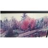 Image 2 : Framed Photographic Print 32" x 22" (RM-101)