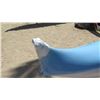 Image 23 : Outrigger Canoe: 'Kaulele' SF3