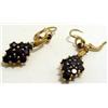 Image 1 : Garnet & Gold Earrings