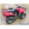 Image 1 : 1999 Honda Fourtrax Quad  250cc  2 WD s#478TE2121XA200103