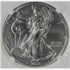 Image 1 : 2019 AMERICAN SILVER EAGLE