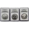 Image 1 : 2006 SILVER EAGLE 20TH ANNIV 3 COIN SET