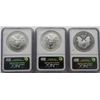 Image 2 : 2006 SILVER EAGLE 20TH ANNIV 3 COIN SET