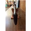 Image 5 : Model 1881, .40-60 Marlin Rifle