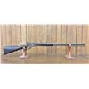 Image 9 : Model 1881, .40-60 Marlin Rifle
