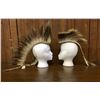 Image 1 : 2 Plains Hair Roaches