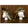Image 3 : 2 Plains Hair Roaches