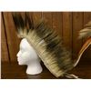 Image 4 : 2 Plains Hair Roaches