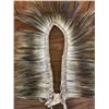 Image 6 : 2 Plains Hair Roaches