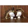 Image 8 : 2 Plains Hair Roaches