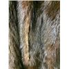 Image 12 : Vintage Sheared Beaver Coat