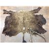 Image 2 : Buffalo Hide and Antique Haymes
