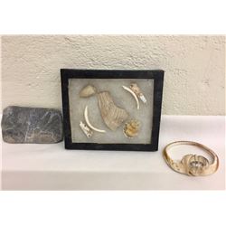 Hohokam Shell Bracelet and Artifacts