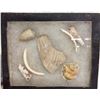 Image 6 : Hohokam Shell Bracelet and Artifacts