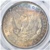 Image 3 : 1879 MORGAN DOLLAR PCGS MS-64 RAINBOW COLOR