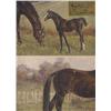 Image 3 : HENRY STULL 24"X28 1/2" oil on canvas horses at p