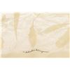 Image 2 : Salvatore Ferragamo Ivory Sheer Silk Print Scarf