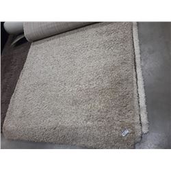 BEIGE SHAG CARPET