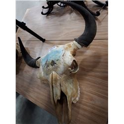 BUFFALO SKULL WITH PAINTED HUNTING SCENE