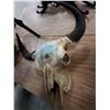 Image 1 : BUFFALO SKULL WITH PAINTED HUNTING SCENE