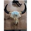 Image 2 : BUFFALO SKULL WITH PAINTED HUNTING SCENE