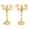 Image 1 : Rococo style gilt bronze cand elabra, pair