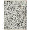 Image 1 : Eames Sea Things fabric sample