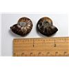 Image 1 : 7)  LOT OF 2 AMMONITE FOSSIL SPECIMENS