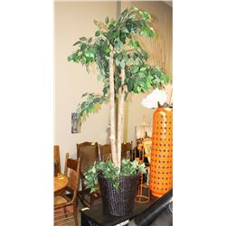 TALL SHOWHOME TREE WITH WICKER POT