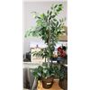 Image 1 : 55" HIGH SHOWHOME TREE WITH DECORATIVE PLANTER POT