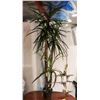 Image 1 : ARTIFICIAL BAMBOO TREE WITH PLANTER