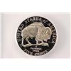 Image 1 : 2005-S BISON NICKEL ICG PR70 DCAM