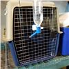 Image 2 : PET KENNEL W/ WATER FEEDER