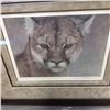 Image 2 : INTENT COUGARS BY ROBERT BATEMAN LEP 24379