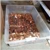 Image 1 : APPROX 40LBS OF PENNIES