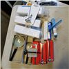 Image 1 : 3 MAGNIFYING GLASSES AND 12 PORTABLE THERMOMETERS