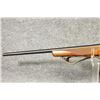 Image 8 : Ruger 17 HMR Varmint Terror