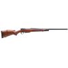 Image 1 : WBY V-GARD 2 SPRTR 243WIN 24" BL/WD