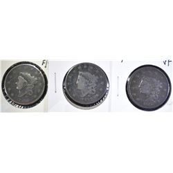 LARGE CENT LOT: