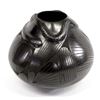 Image 1 : Mata Ortiz Matte on Black Pottery Jar by Quezada