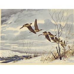 Framed Print by Les C. Kouba