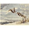 Image 1 : Framed Print by Les C. Kouba