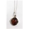 Image 1 : Sterling Silver Amber Necklace