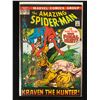 Image 1 : THE AMAZING SPIDER-MAN 104