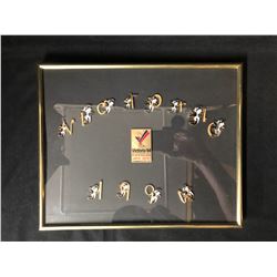 1994 VICTORIA COMMONWEALTH GAMES FRAMED PINS LOT
