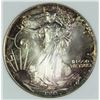 Image 1 : 1993 AMERICAN SILVER EAGLE