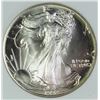Image 1 : 1992 AMERICAN SILVER EAGLE