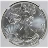 Image 1 : 2017 AMERICAN SILVER EAGLE